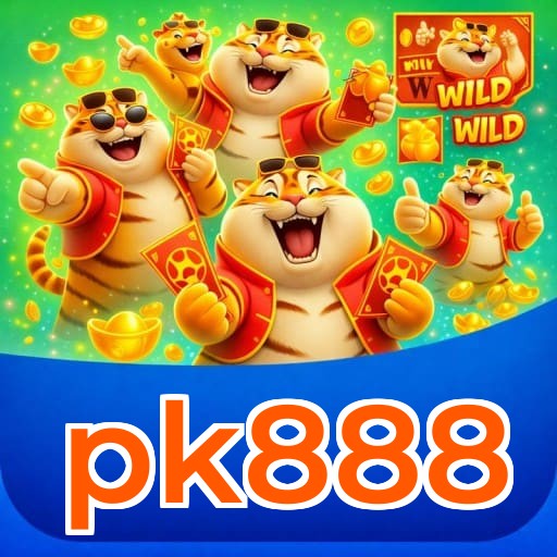 Termos e Condições Transparentes pk888